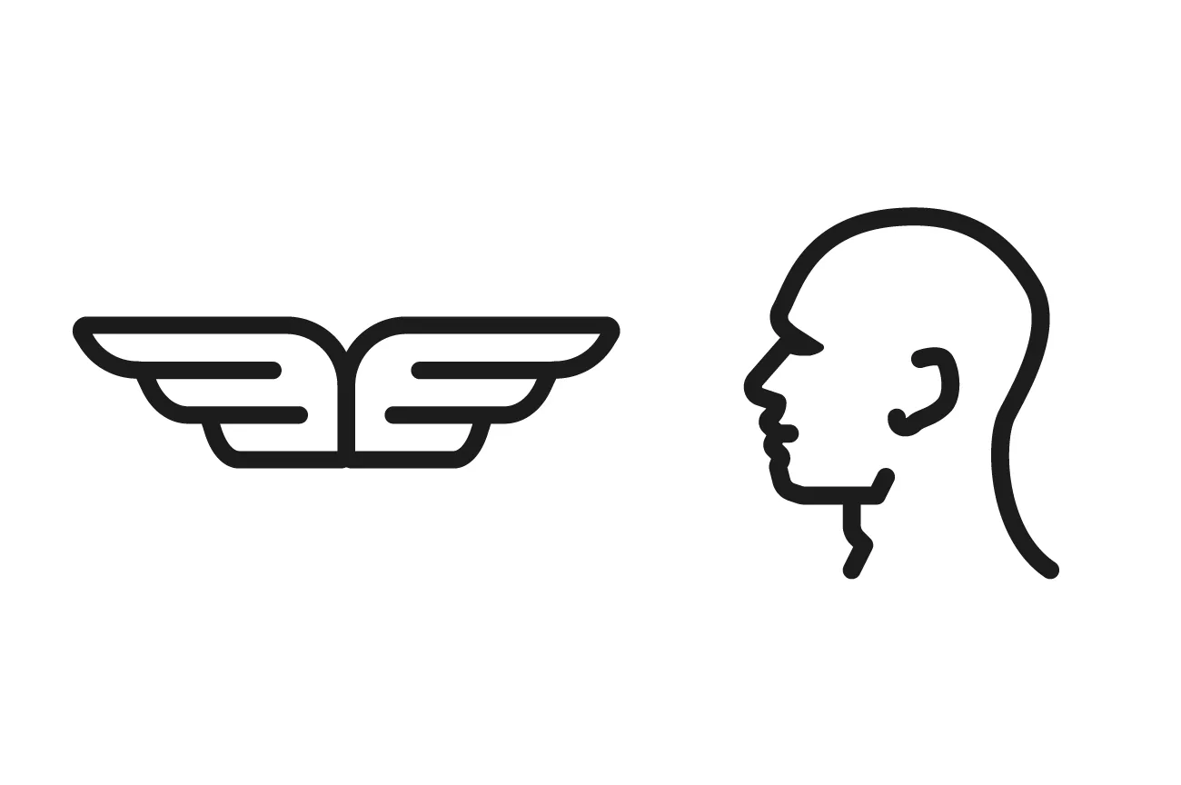 Falcon Delivery Logo Design