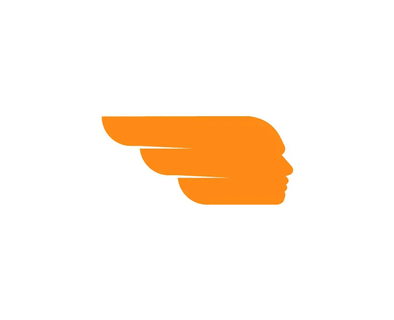 Falcon Delivery Logo Design