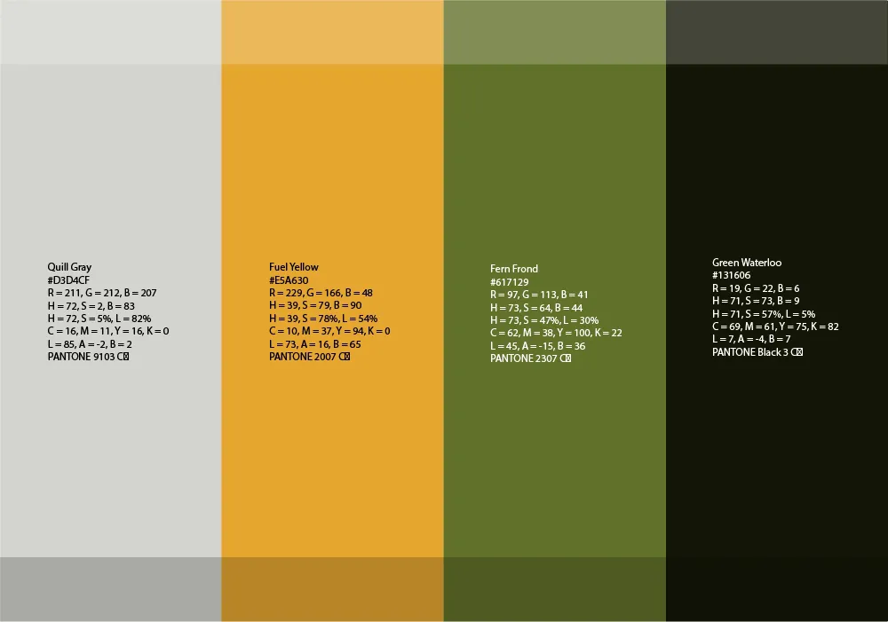 Zenqa Brand Identity Design